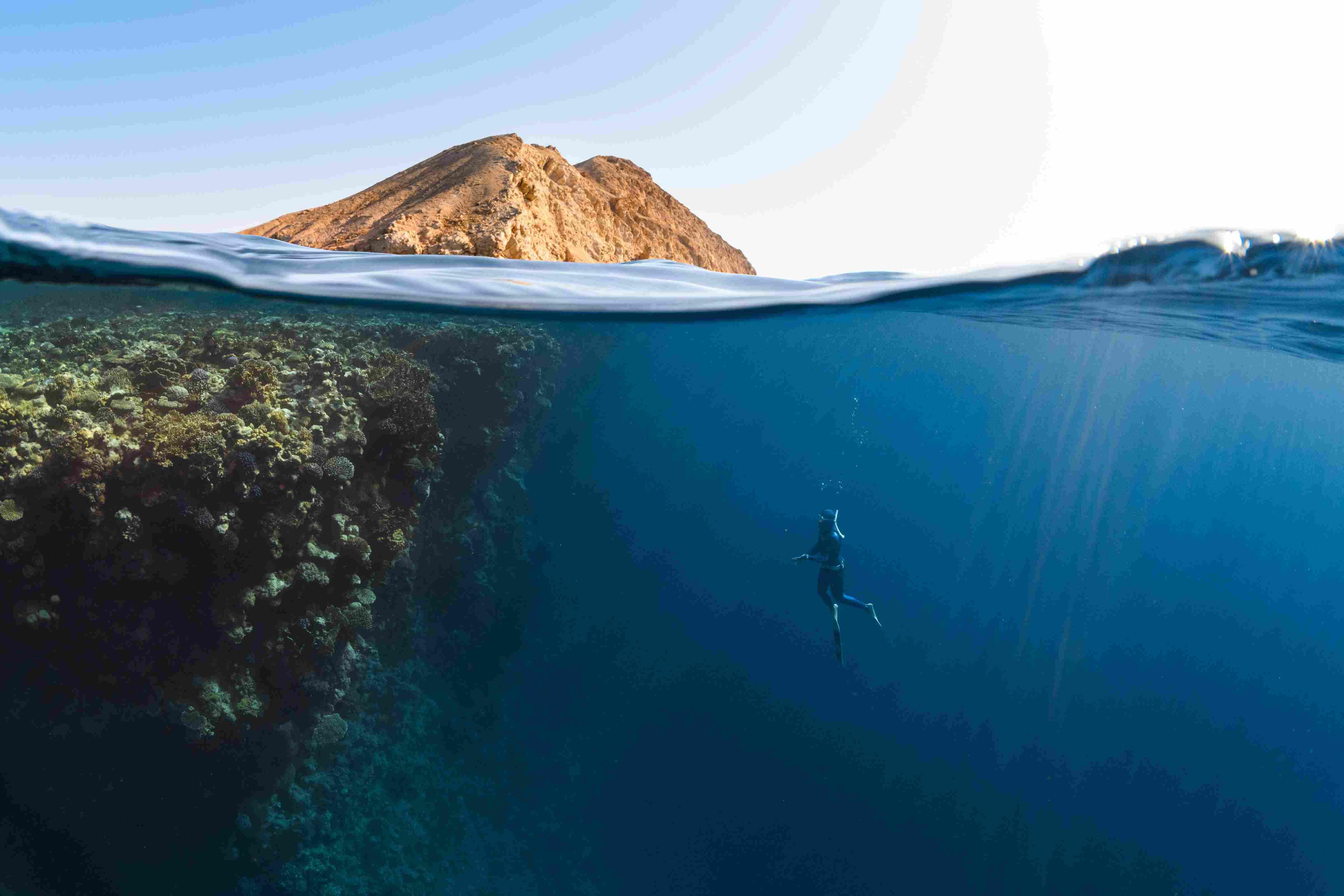 Certified diving instructor in Egypt